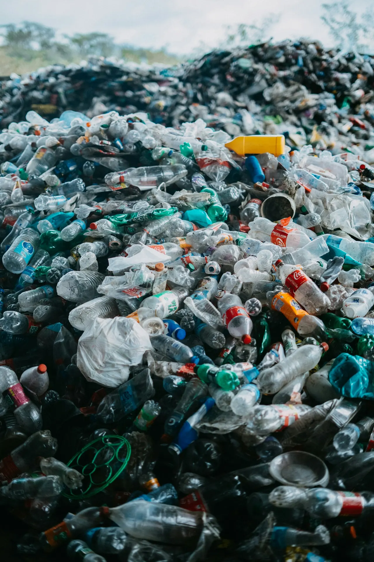 Plastic & Paper Recycling
